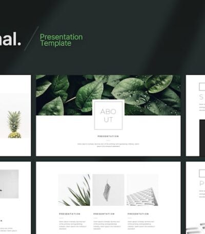 C67bcf5b 897a 4d3d Bfaa 3857628153e5