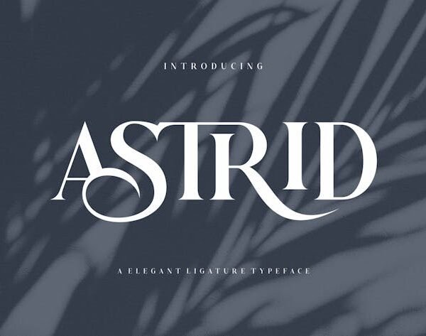 D1124443 1252 4ccb 972f 7e365b10de76 2